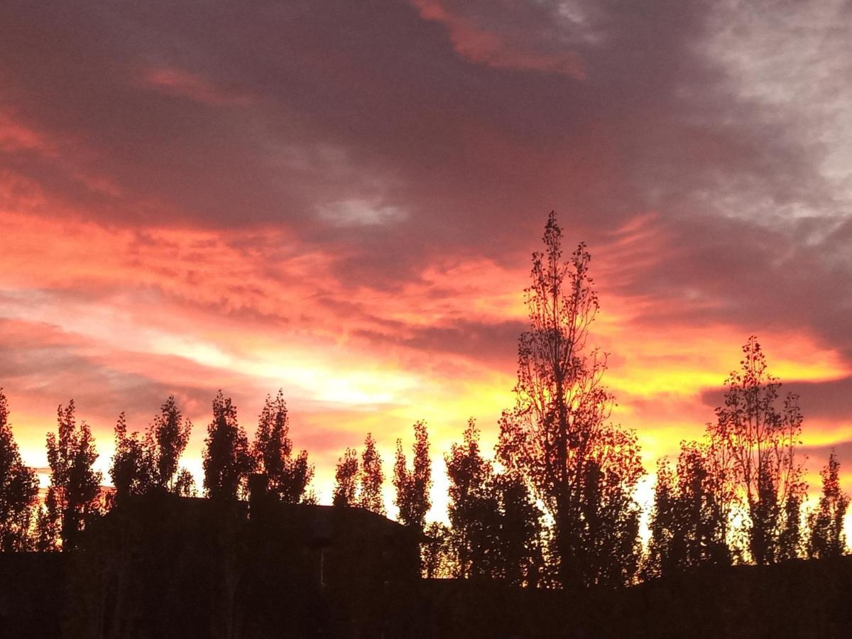 Cielos Patagonicos Aparts El Calafate Exterior photo